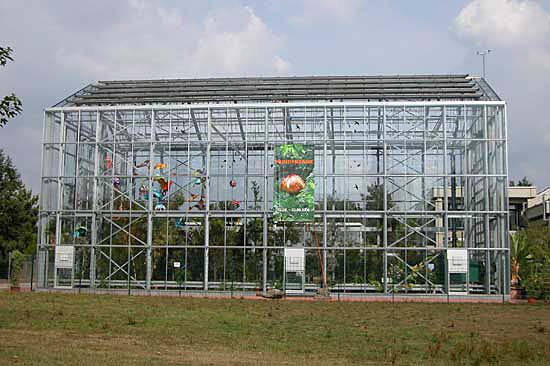 Orangerie des Botanischen Gartens, Außenansicht mit Wundersame-Banner und Einblick in die Ausstellung